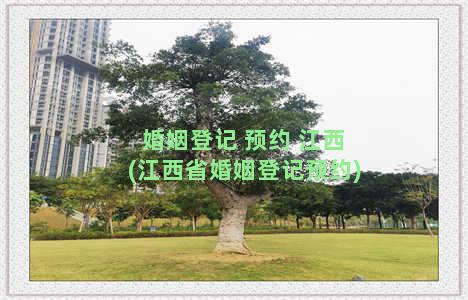 婚姻登记 预约 江西(江西省婚姻登记预约)